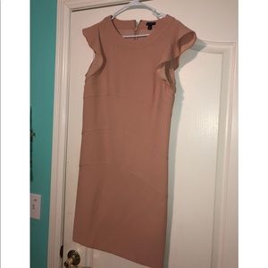 Ann Taylor Dress
